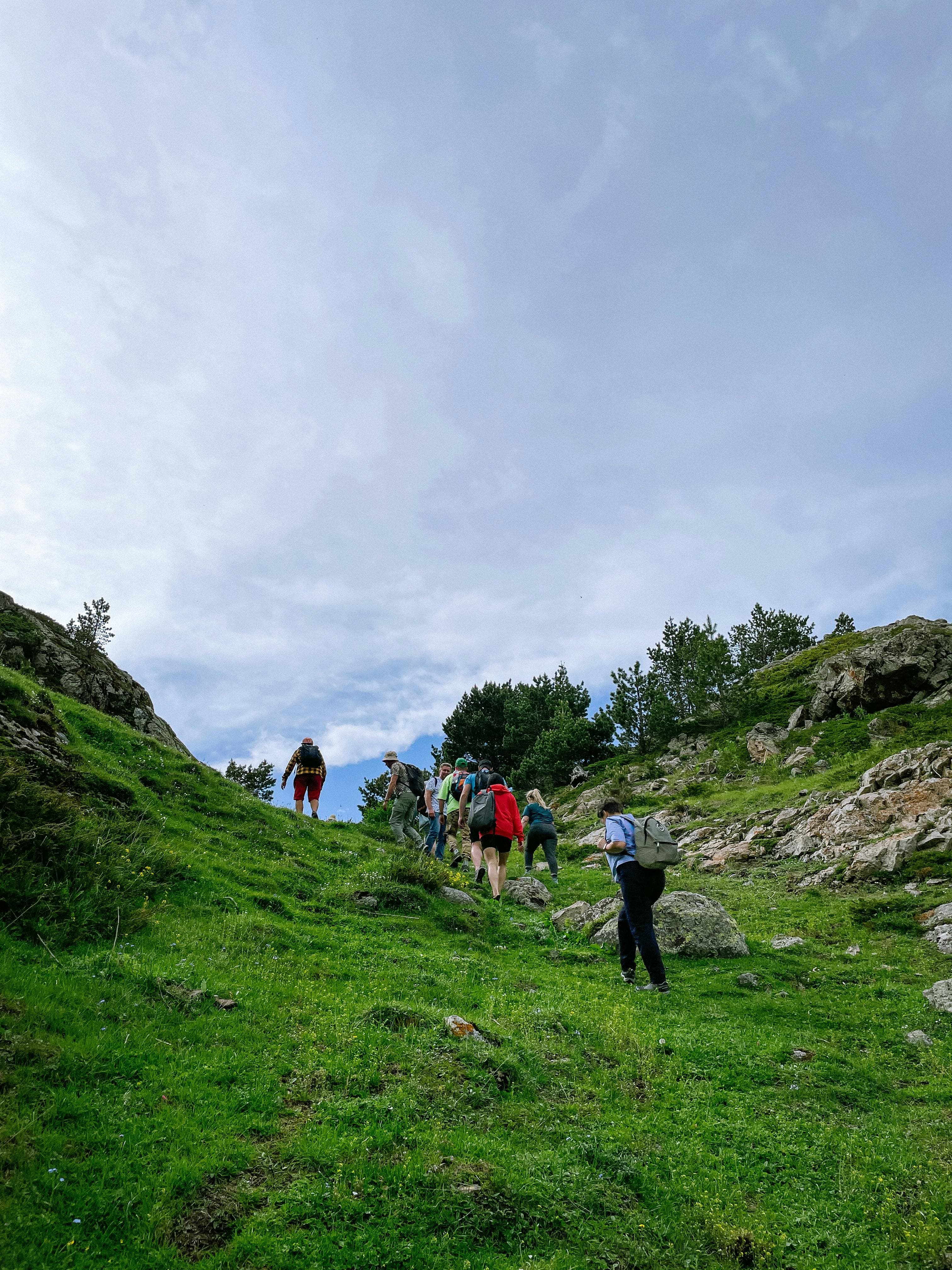Caminho de Santiago através do campo